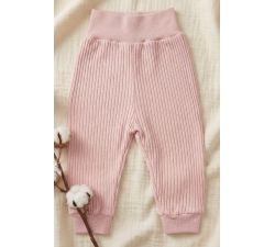 Półśpiochy bez stópek prążki