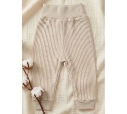 Półśpiochy bez stópek prążki