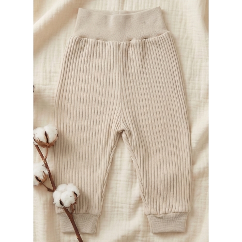 Półśpiochy bez stópek prążki