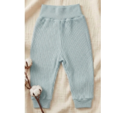 Półśpiochy bez stópek prążki