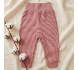 Półśpiochy bez stópek prążki